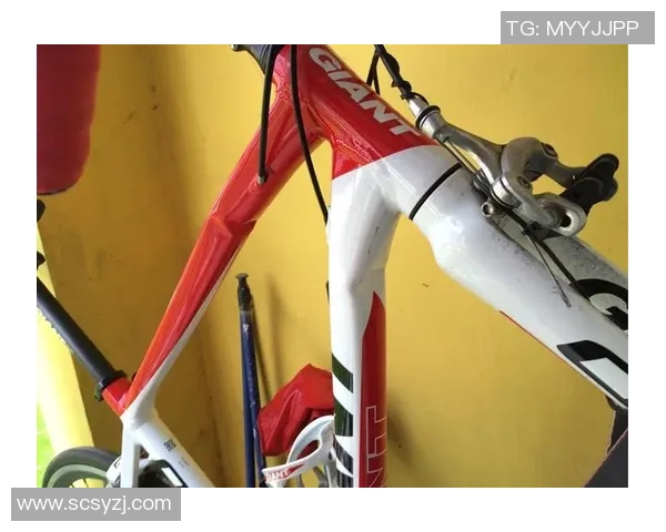 杭州极限运动队与广州极限运动队实力对比赛后分析与总结