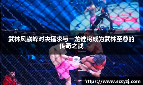 武林风巅峰对决播求与一龙谁将成为武林至尊的传奇之战